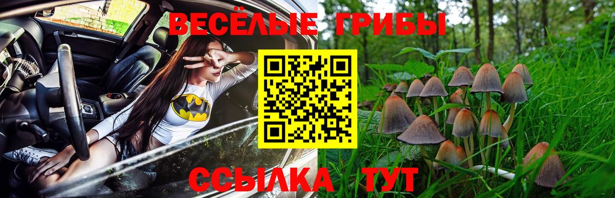 Галлюциногенные грибы мухоморы  Вход с VPN  Псилоцибиновые грибы MAGIC MUSHROOMS  Екатеринбург 